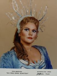 MET - 1981